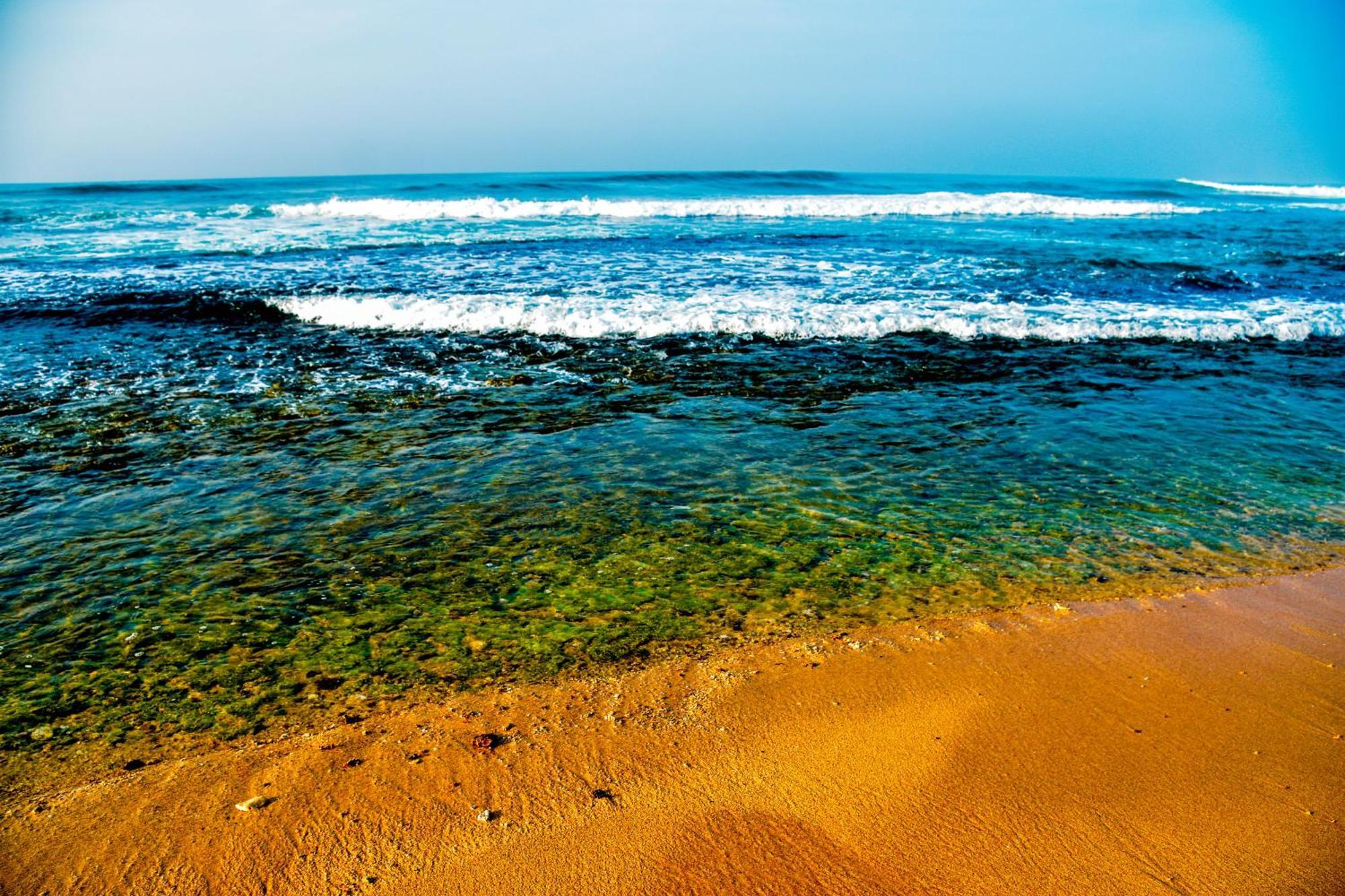 Ara Beach Resort Mirissa Eksteriør bilde